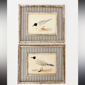 Vintage Bird Art Prints in Rustic Frames
